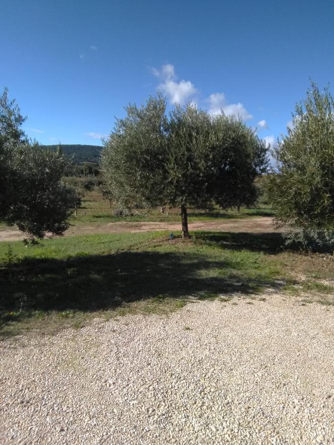 Vacances Vaison La Romaine Экстерьер фото